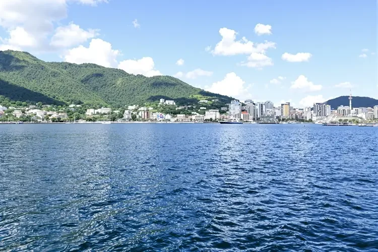 每日黑料大赛 - 经纪公司内部邮件泄露，艺人分成比例惊人曝光